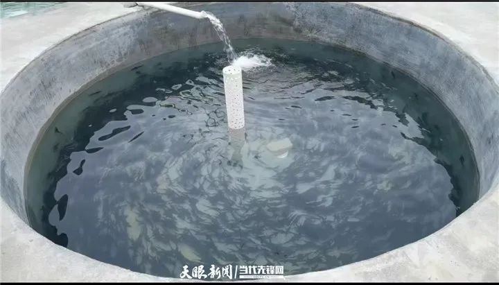 视频致富养殖鲟鱼是真的吗_视频致富养殖鲟鱼_养殖致富鲟鱼视频