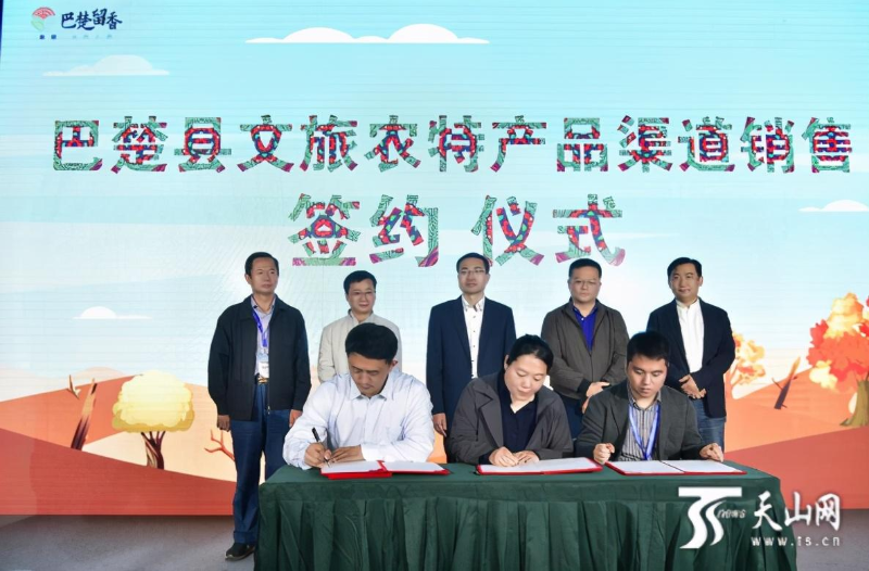 视频致富种植香瓜怎么做_种植香瓜视视频_致富经香瓜种植视频