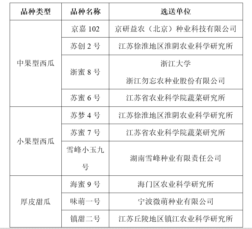 致富种植甜瓜怎么样_甜瓜种植效益_甜瓜种植致富