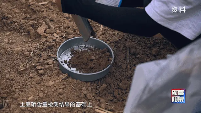 致富种植视频全集_种植致富经视频_种植致富歌