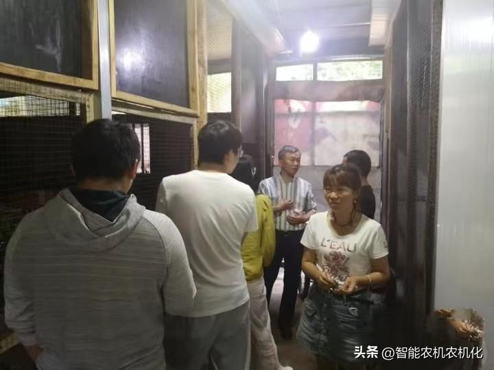 复齿鼯鼠致富经_复齿鼯鼠致富经_复齿鼯鼠致富经