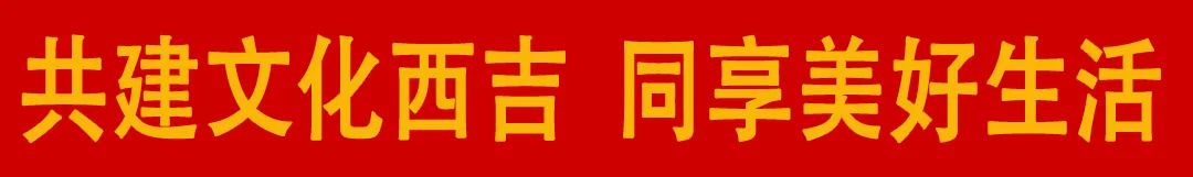 致富立体种植技术有哪些_致富立体种植技术是什么_立体种植致富技术