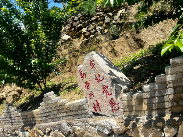 山上搞养殖_在山上养殖致富_山区养殖什么致富项目