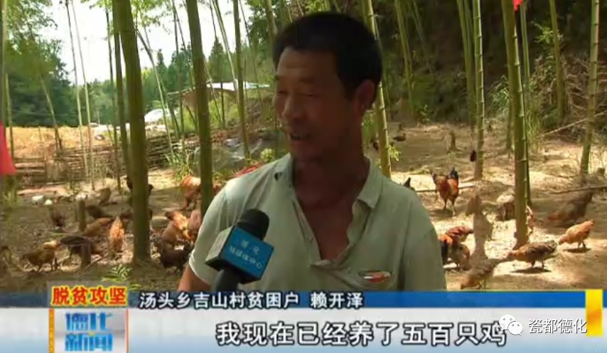 勤劳养殖致富之路_致富勤劳养殖之路的句子_致富勤劳养殖之路是什么
