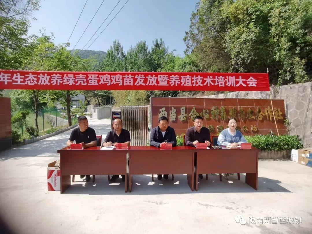 养殖绿壳蛋鸡前景如何_养殖绿壳蛋鸡致富经_致富经养殖绿壳蛋鸡