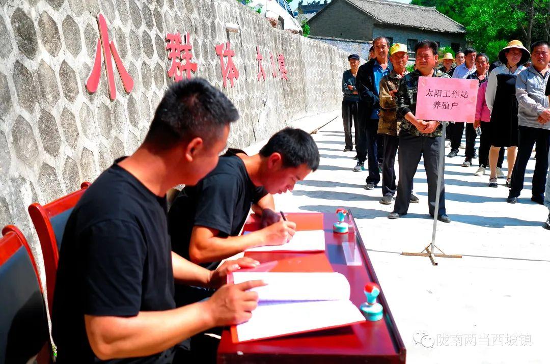 致富经养殖绿壳蛋鸡_养殖绿壳蛋鸡前景如何_养殖绿壳蛋鸡致富经