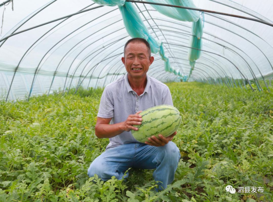 种植致富的果园_致富种植果园图片_种果园前景怎么样