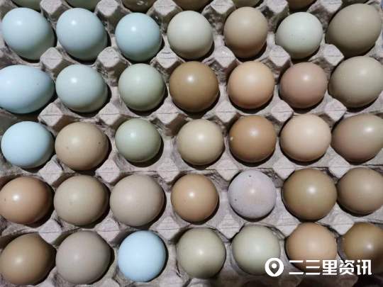 养殖致富网视频_致富经农业养殖视频_农场养殖致富视频