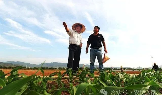 农民未来的出路在哪里？