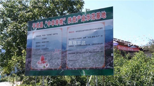 德化种植致富梦_德化种植致富梦_德化种植致富梦