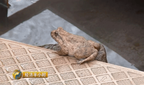 养殖致富之路_致富养殖业_智慧养殖致富