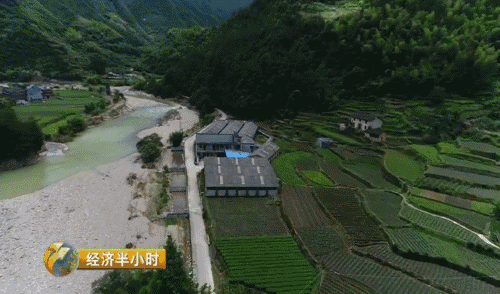 智慧养殖致富_养殖致富之路_致富养殖业