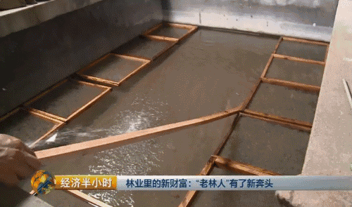 养殖致富之路_智慧养殖致富_致富养殖业