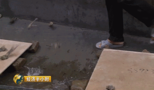 养殖致富之路_致富养殖业_智慧养殖致富