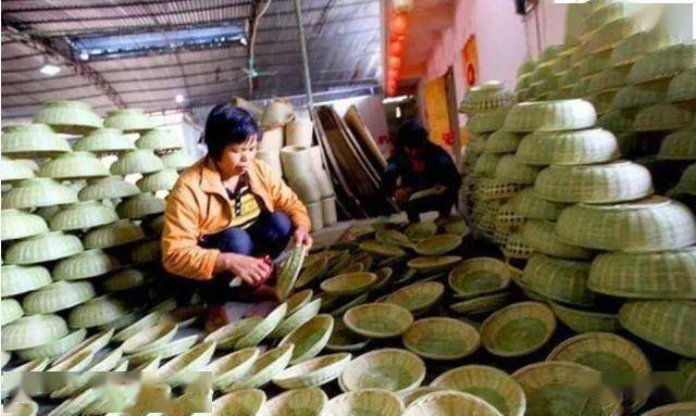 养殖致富经_养殖致富之路_有什么养殖致富