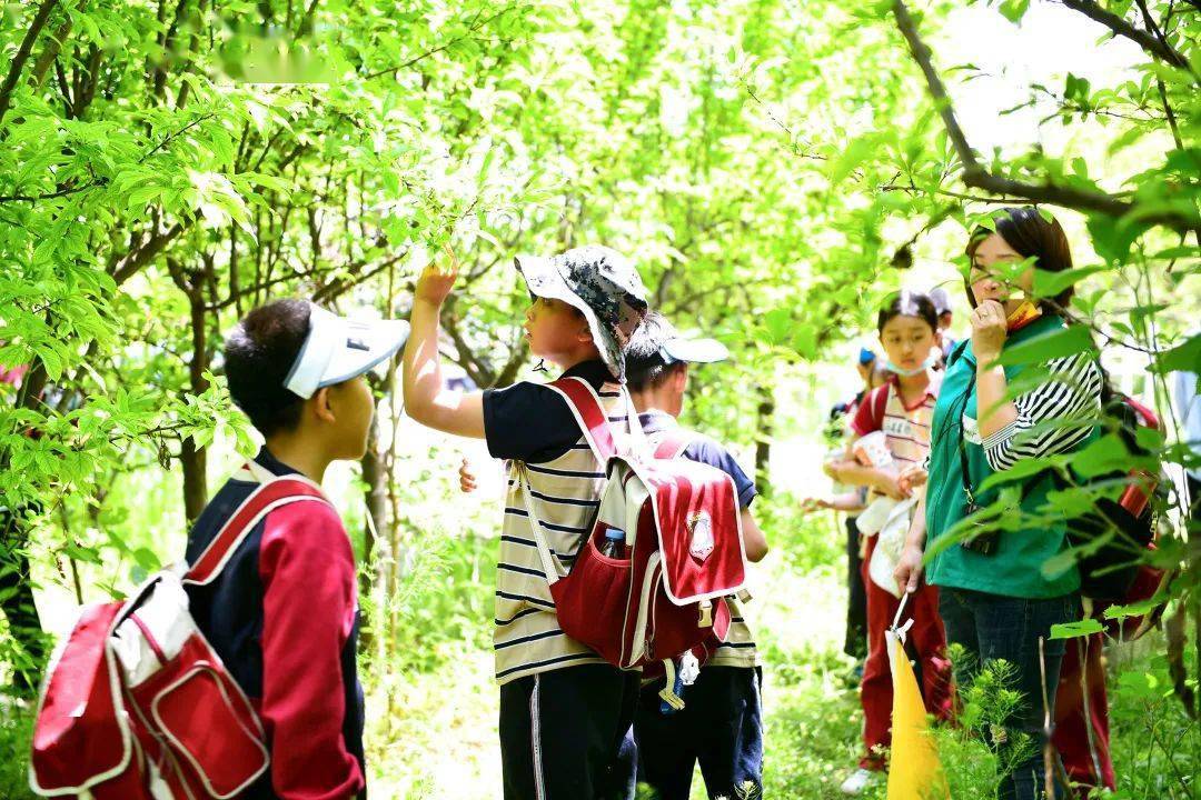 引进优质民办教育的利弊_民办学校人才引进_引进民办优质学校经验材料