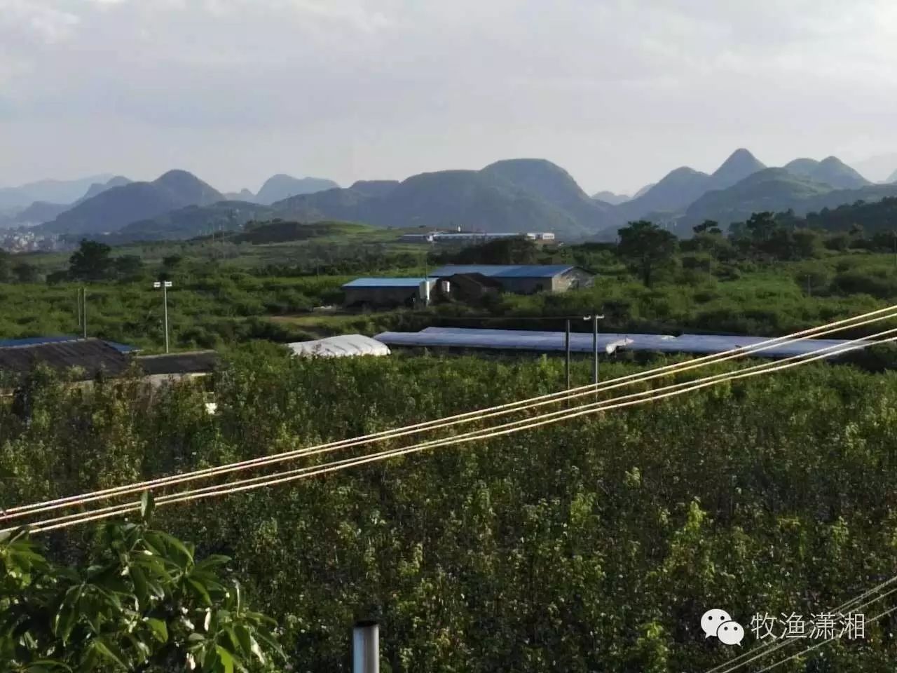 养殖种植和佳网技术有关系吗_佳和养殖有限公司_和佳养殖种植技术网