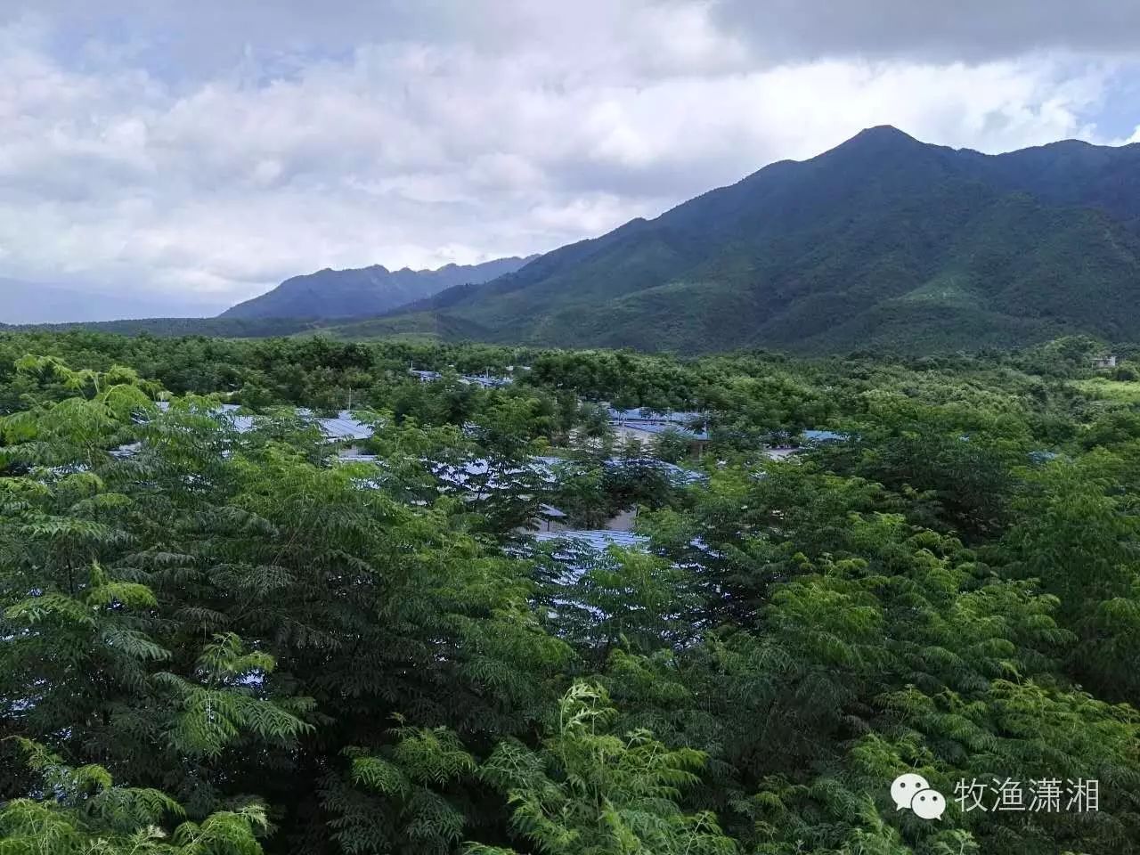 佳和养殖有限公司_和佳养殖种植技术网_养殖种植和佳网技术有关系吗