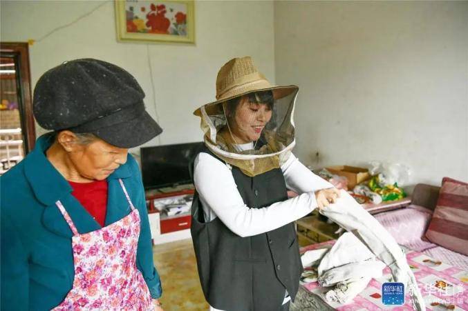 致富经土蜜蜂养殖技术_蜜蜂养殖实用技术_蜜蜂养殖视频致富经
