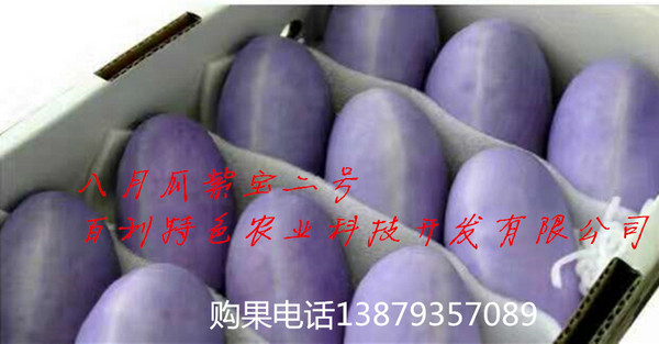 八月瓜