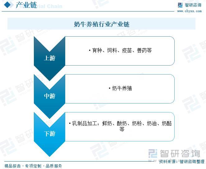 养殖奶牛赚钱吗_养殖奶牛致富_致富养殖奶牛赚钱吗