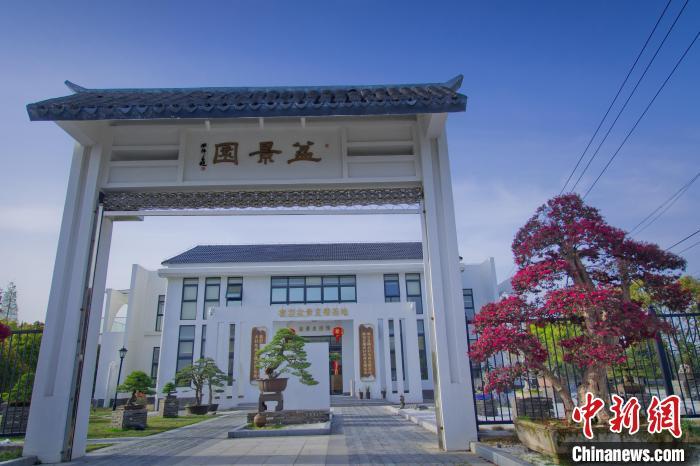 种植致富小秘诀_种植致富经_种植致富宝典