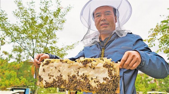 致富农村养殖种植_致富农田养殖项目_农田养殖致富