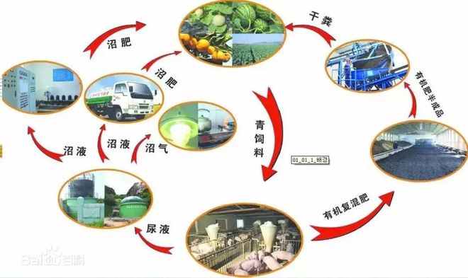 农村致富新项目养殖_新型农业养殖致富_农民致富养殖业