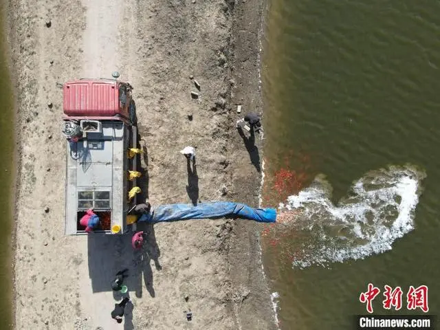 青鱼养殖致富_青鱼养殖利润怎样_致富养殖青鱼怎么样