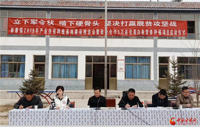 中药种植致富蓝图_中药材致富_致富药材种植