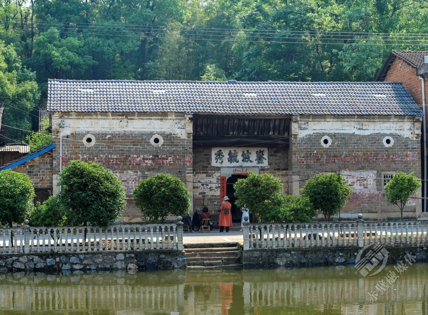 致富经果树盆景_风景树致富经_致富树图片