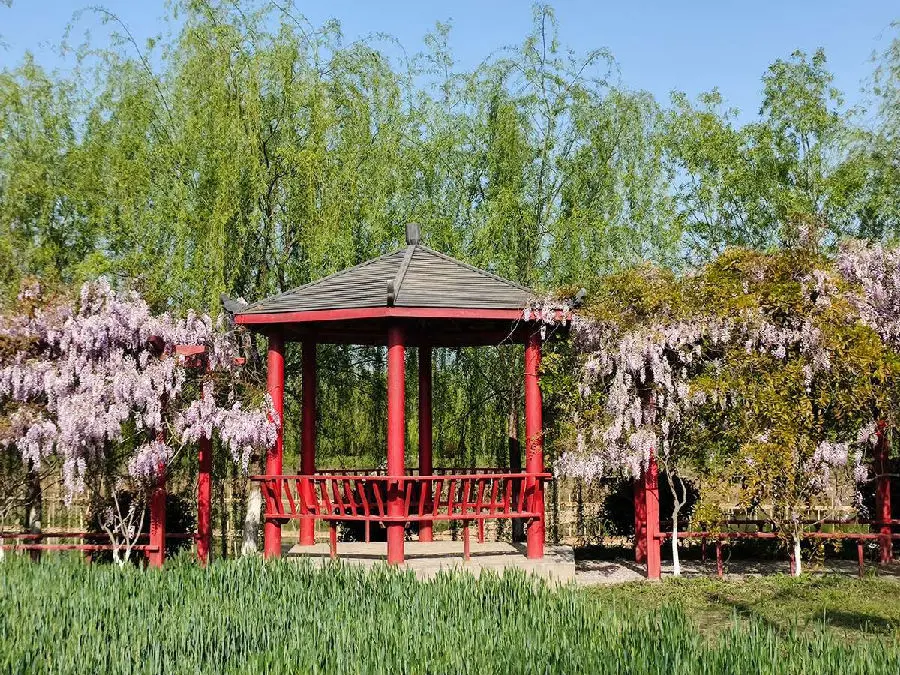 龙庙村公园角亭（徐建光  摄）