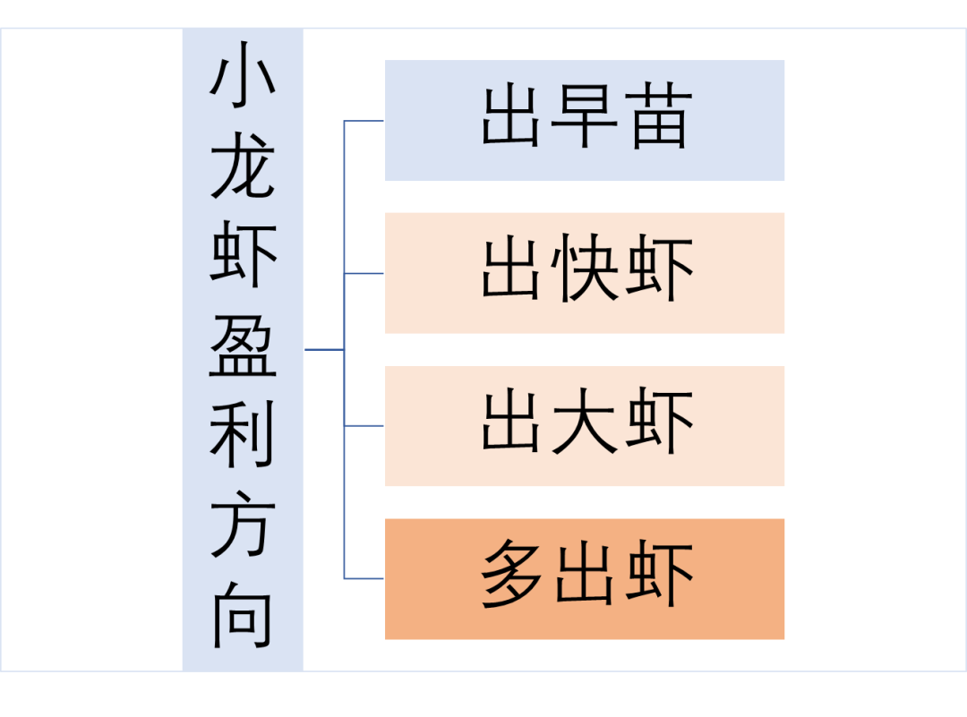 效益龙虾养殖技术小结_小龙虾养殖技术效益_效益龙虾养殖技术小结怎么写