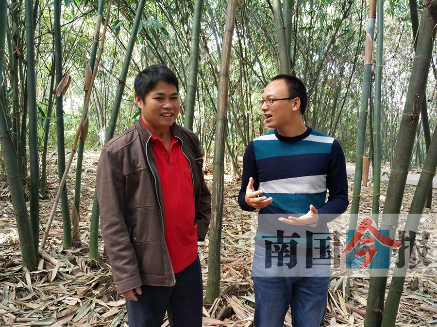 梁承红：抓住螺蛳粉商机 带村民种“致富笋”