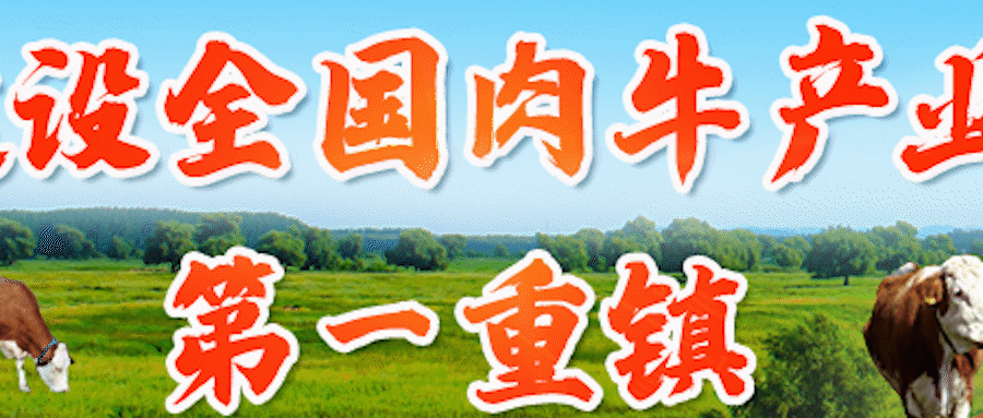 致富经内蒙古通辽_内蒙古脱贫致富_内蒙通辽富裕吗