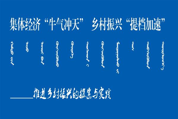 集体经济“牛气冲天” 乡村振兴“提档加速”——乌审旗苏力德苏木陶利嘎查推进乡村振