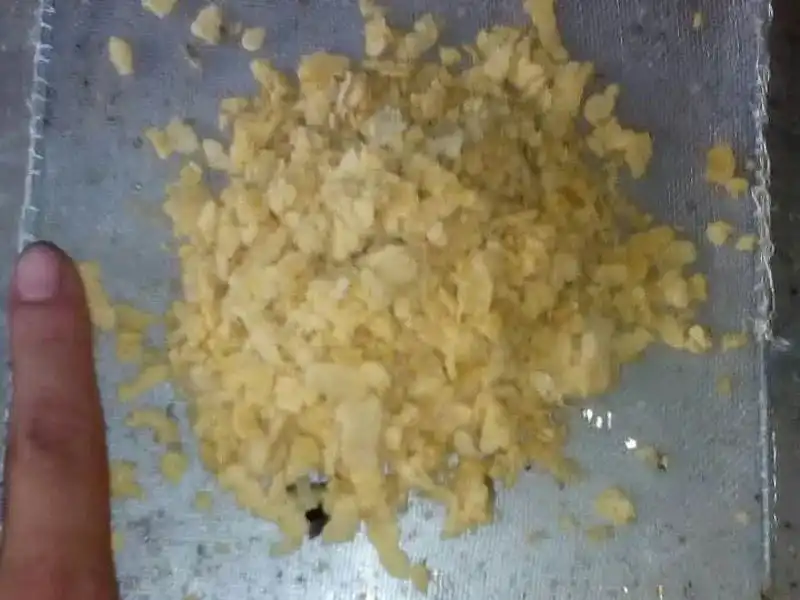 水虻虫养殖技术视频_水虻养殖技术视频_养殖水虻