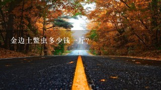 金边土鳖虫多少钱一斤？土鳖虫养殖技术和利润？