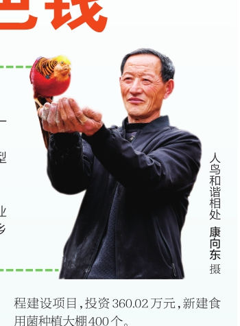 汝阳县王坪乡：吃“生态饭”挣“绿色钱”