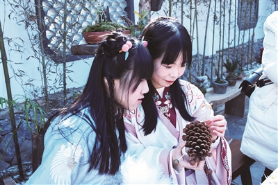 致富经葫芦嫁接西瓜_葫芦嫁接西瓜技术_西葫芦嫁接甜瓜