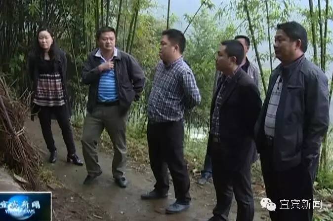 致富农村养殖种植_致富养殖项目_高县致富养殖
