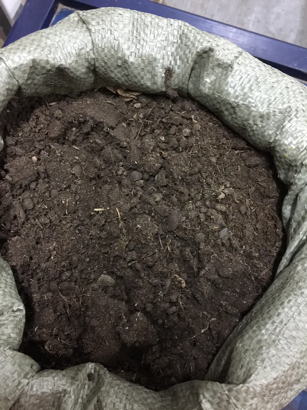 四季桂花的养植_四季桂花怎样养才枝繁叶茂_四季桂桂花养殖技术