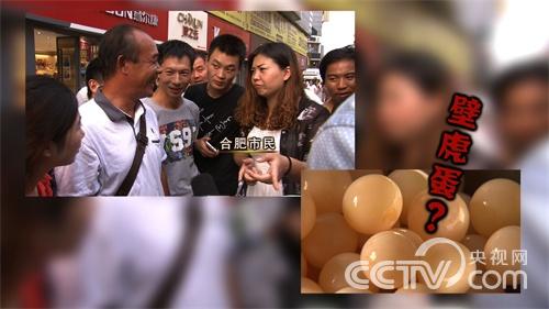 [致富经]养甲鱼，倔强老爹把儿子骗回家后(20150915)