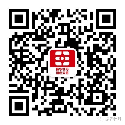 油牡丹种植致富_油用牡丹种植合作_牡丹致富种植油怎么样