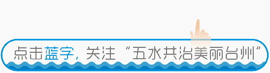 海水养虾技术高手_海水养殖的大虾_海水虾的养殖技术