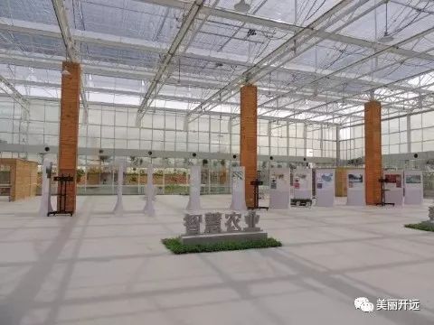开远繁荣种植示范基地_开远种植什么作物_开远种植致富