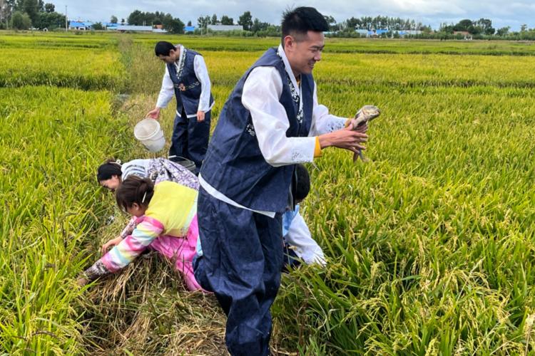 致富经桐乡稻鱼呀上_致富经桐乡稻鱼呀上_致富经桐乡稻鱼呀上