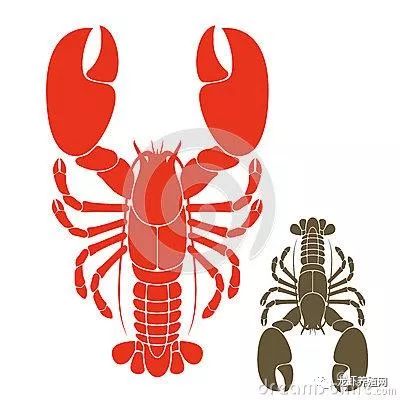 淡水养虾实用技术视频_淡水养虾技术视频_淡水虾的养殖技术