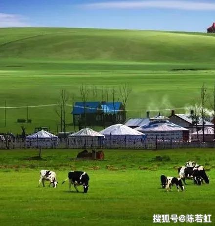 小猪养殖致富项目_致富经养猪创业视频_致富小猪养殖项目介绍