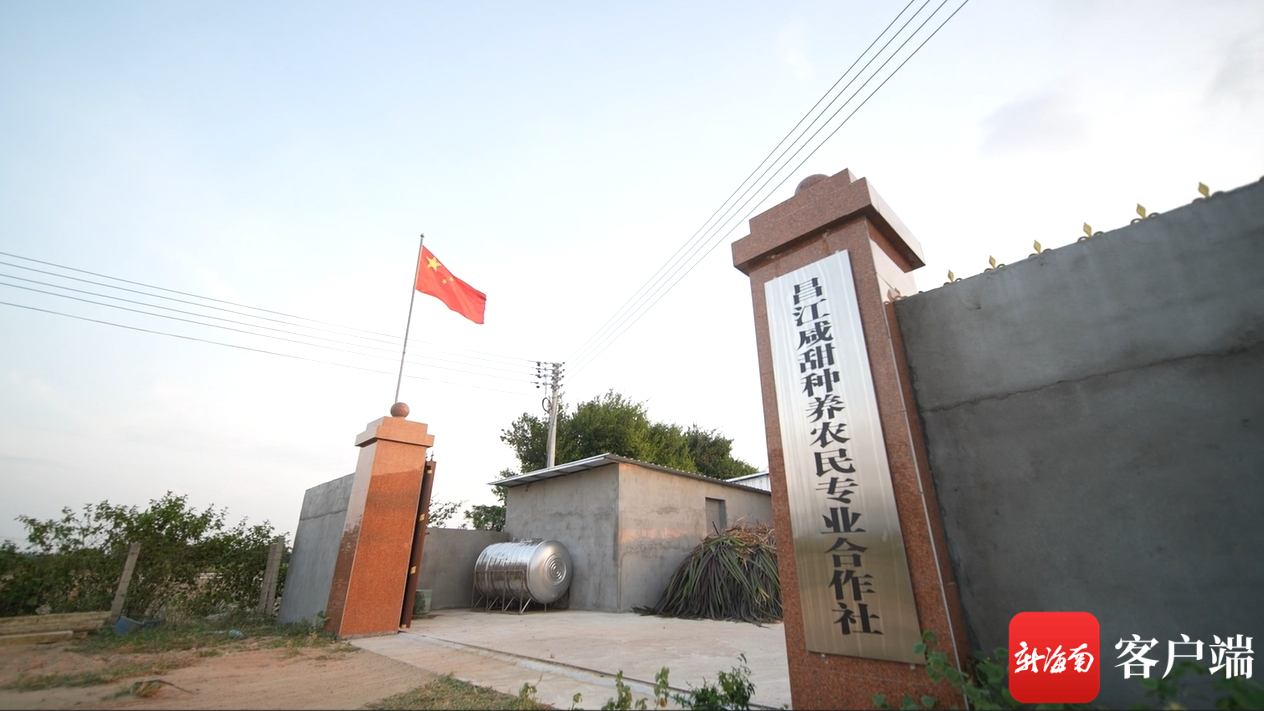 致富养殖水牛人怎么样_养殖水牛致富人_致富养殖水牛人视频